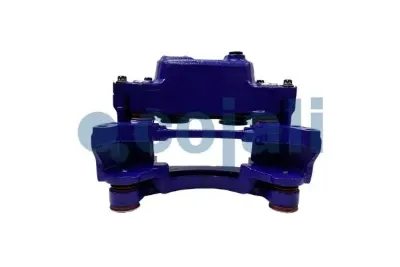 Pinza de freno trasera COJALI 359304
