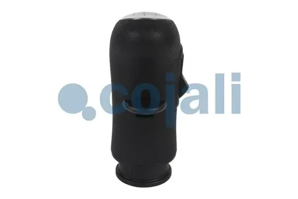 2880157 Cojali