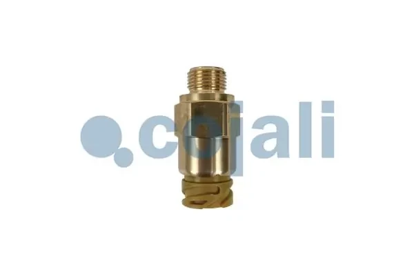 2260987 Cojali