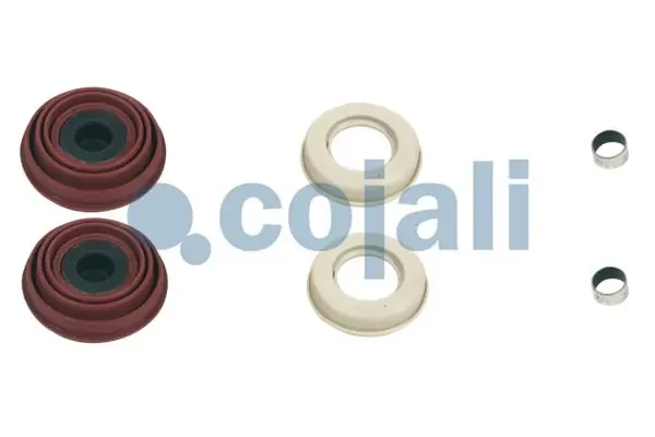 6084001 Cojali