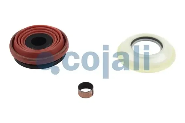 Kit de reparación de pinzas de freno trasero 6084020 Cojali