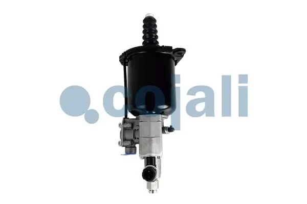 2250245 Cojali