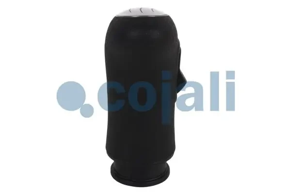 2880155 Cojali