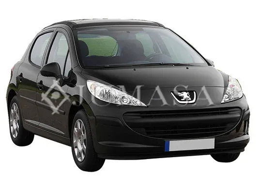Luna delantera Peugeot 207 