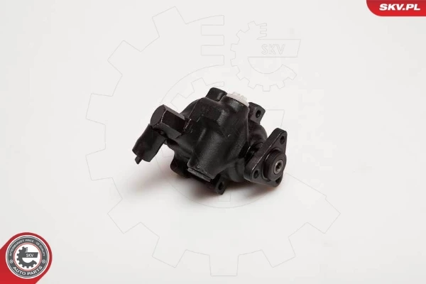 10SKV056 SKV