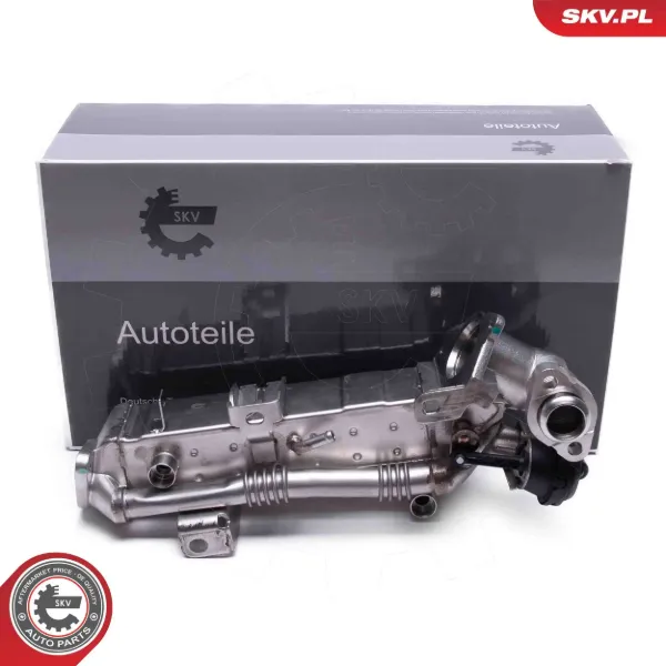 Válvula EGR 14SKV239 SKV