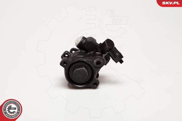 10SKV056 SKV