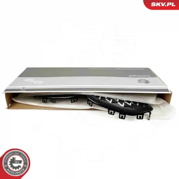 Parrilla 511318517811 BMW