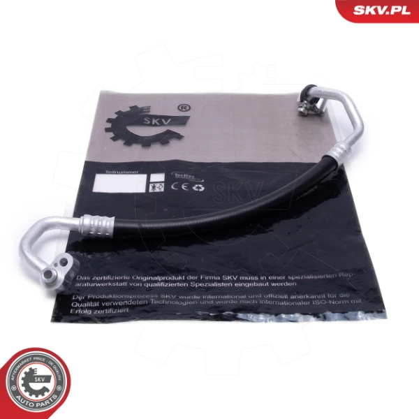 43SKV551 SKV