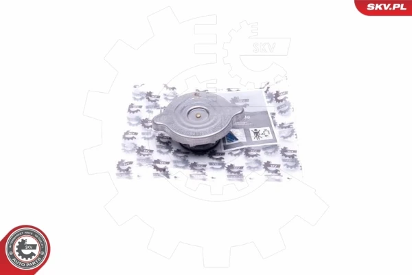 61SKV004 SKV