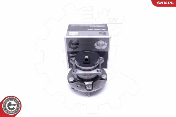 Cubo de rueda trasero 29SKV379 SKV