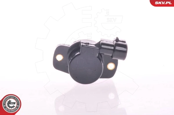 17SKV010 SKV