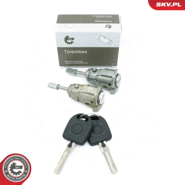 65SKV818 SKV