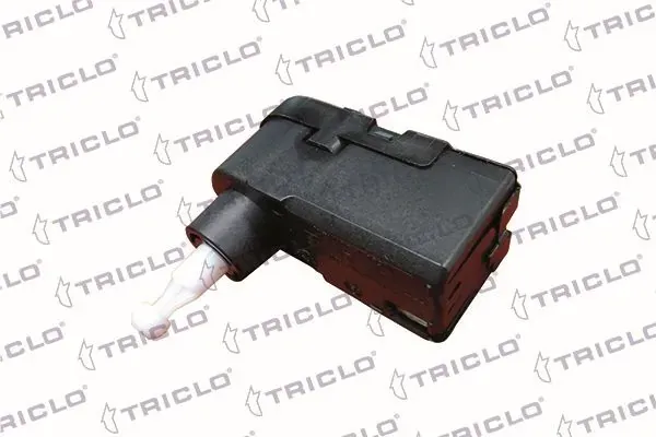 173080 Triclo