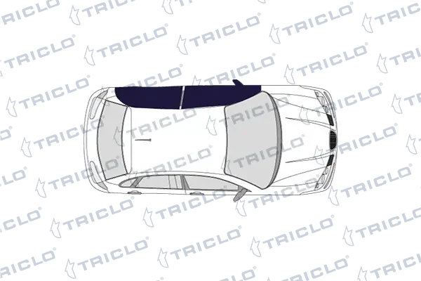 125205 Triclo