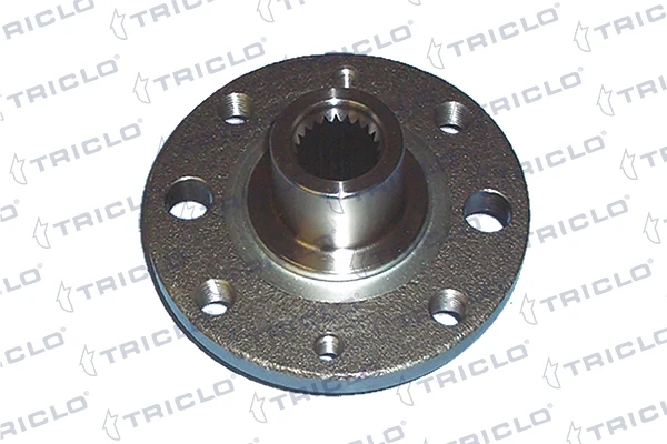 Cubo de rueda delantero Renault 21 (S48)
