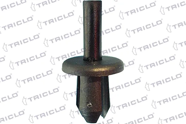  163304 Triclo