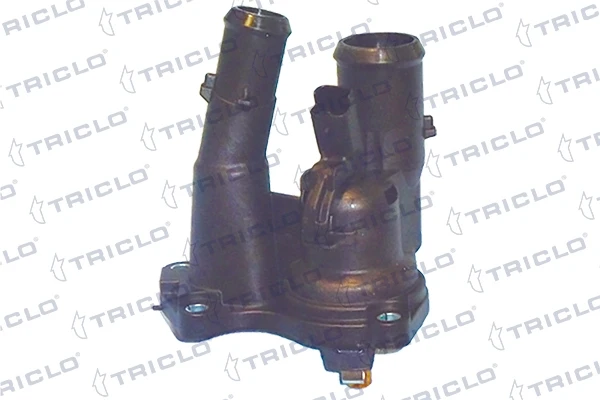 468941 Triclo