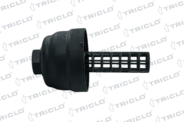 313510 Triclo