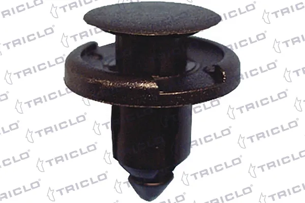  163166 Triclo