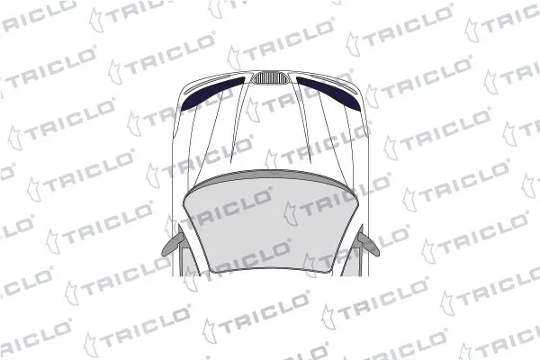 173080 Triclo