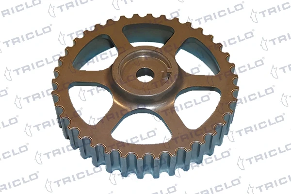 425797 Triclo