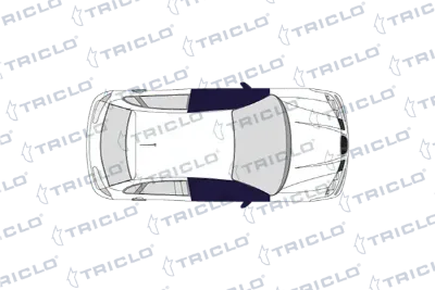 Manivela de elevalunas de puerta delantera TRICLO 125610