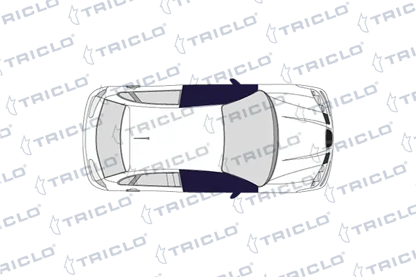135012 Triclo