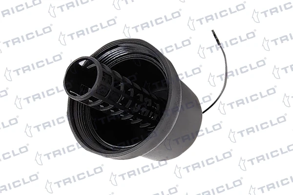 312469 Triclo