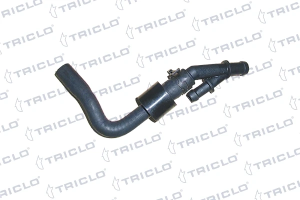 453244 Triclo