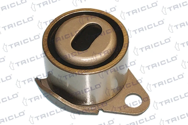 425213 Triclo