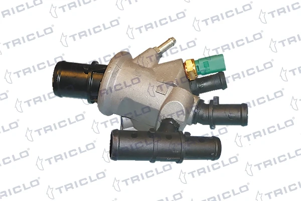 464513 Triclo