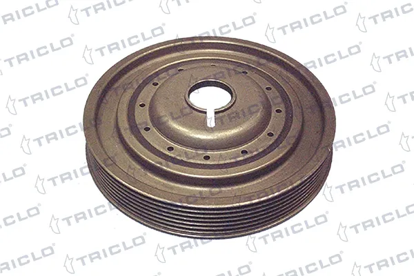 Polea de cigüeñal 425054 Triclo