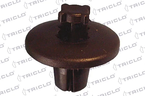  163127 Triclo