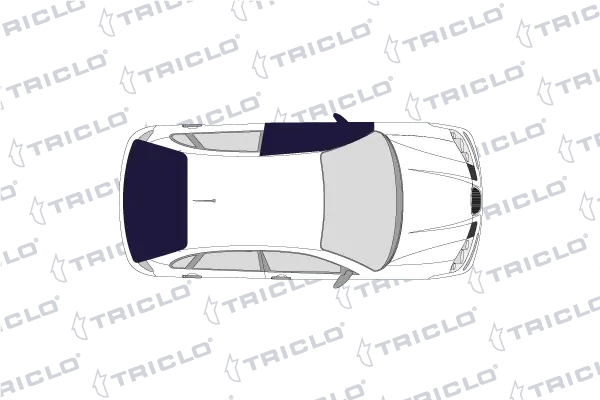 121889 Triclo
