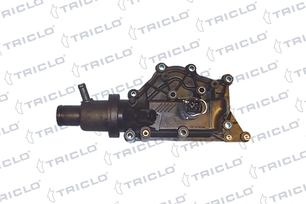 465665 Triclo caja del termostato