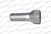Tornillo de rueda 334536 Triclo