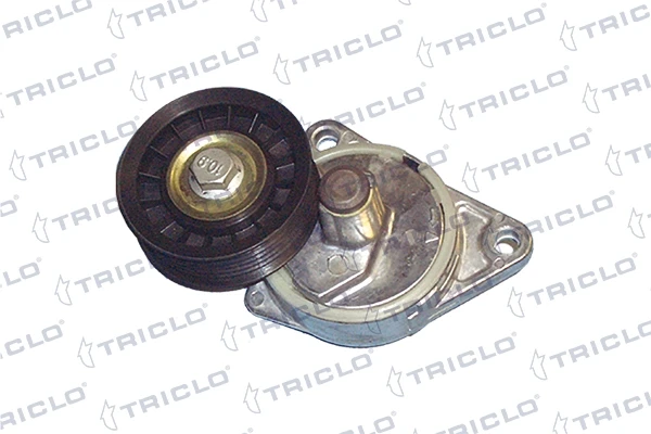 428498 Triclo