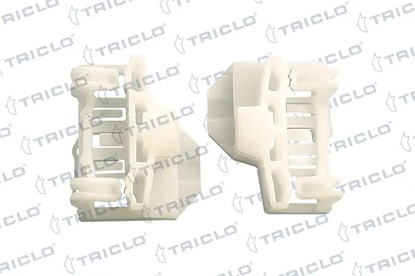  163029 Triclo