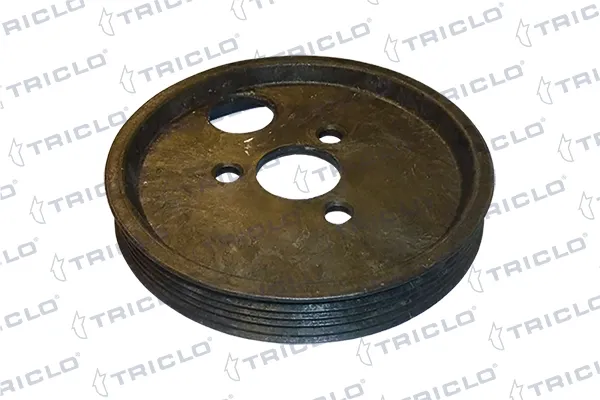 Polea de la bomba de dirección asistida 427015 Triclo