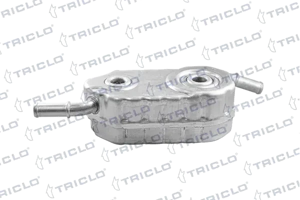 410008 Triclo