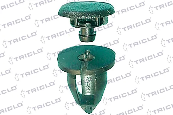  163043 Triclo