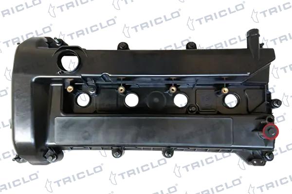 Tapa de balancines Ford Focus II