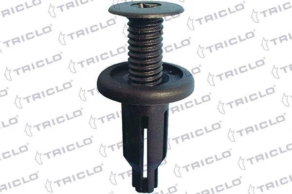  163163 Triclo
