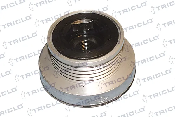 Polea alternador 425518 Triclo