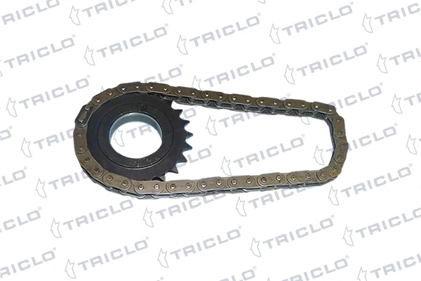 Juego, cadena, bomba de aceite Renault Megane 2 (LM0)