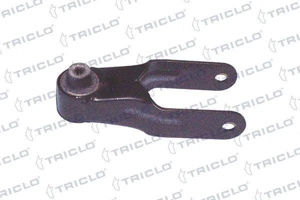 Soporte del soporte trasero del motor 361638 Triclo