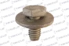 Tornillo (tuerca) de sujeción 161798 Triclo