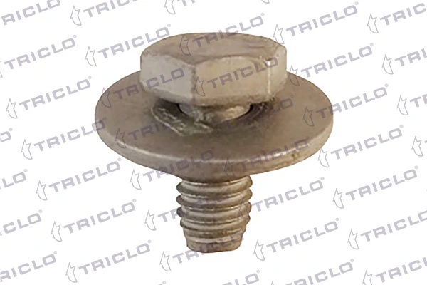 Tornillo (tuerca) de sujeción 161798 Triclo