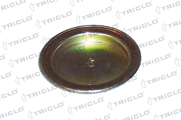 Tapón de culata Fiat Tipo (356)